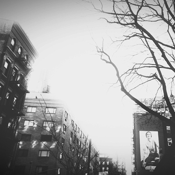 525042_10101651597816563_505533621_n