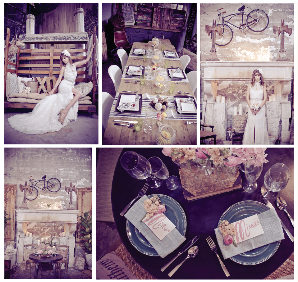 editorial | menagerie