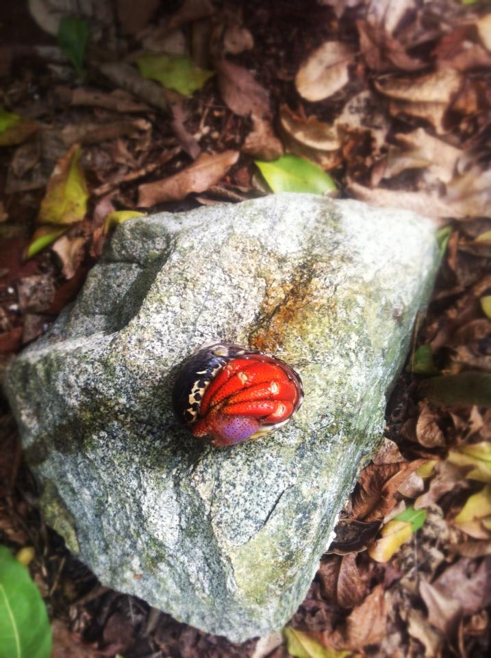 536929_10101747010369043_1846208596_n