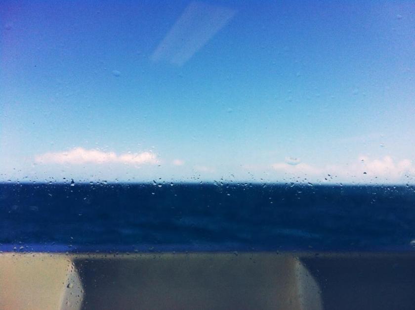 555816_10101747043901843_706438642_n