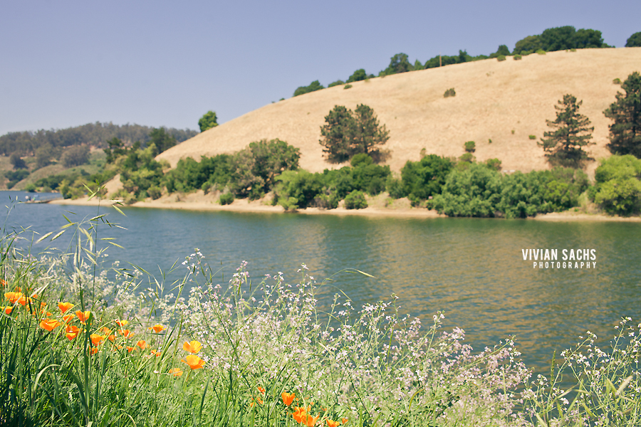 lake chabot