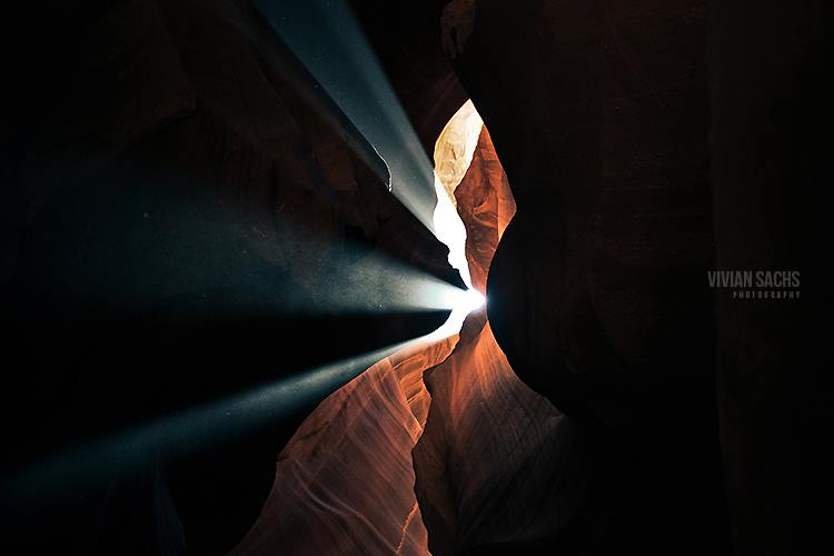 1004427_10101884628316573_198295532_n