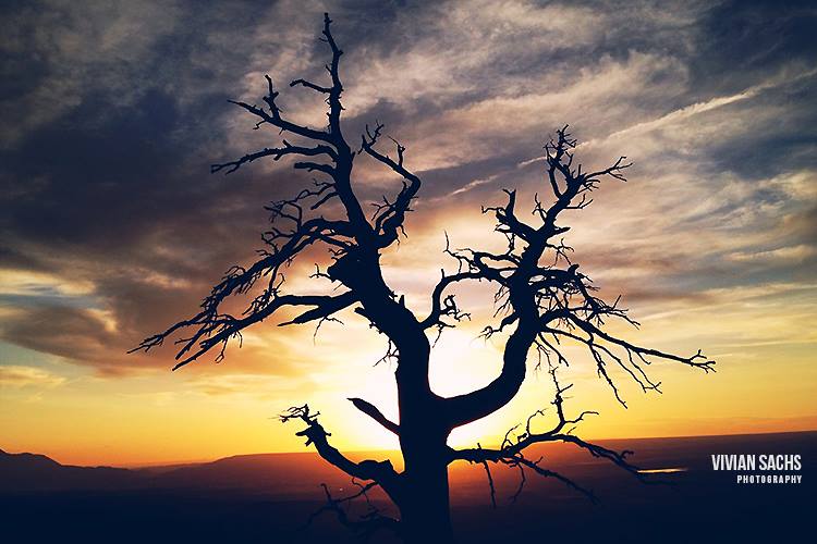 travel | delights of the four&nbsp;corners