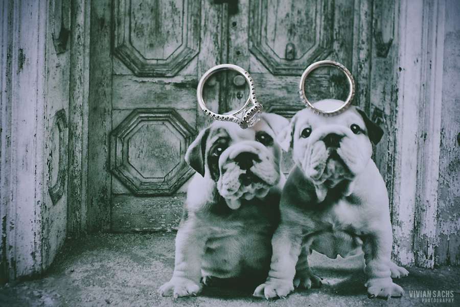 wedding | ashlye +&nbsp;magnus