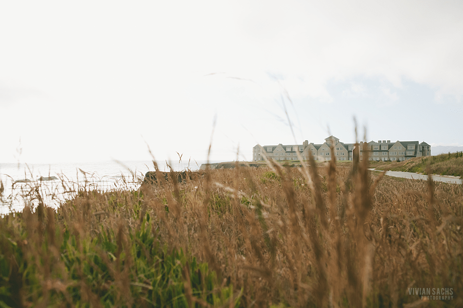 wedding | patricia +&nbsp;chris