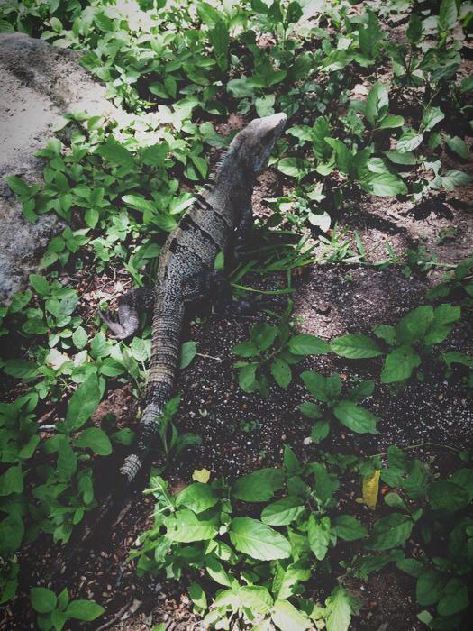 1010653_10101906437420953_1405398278_n