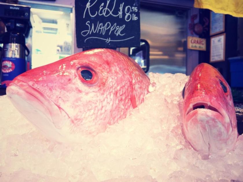 307933_10101627529005653_1882698319_n