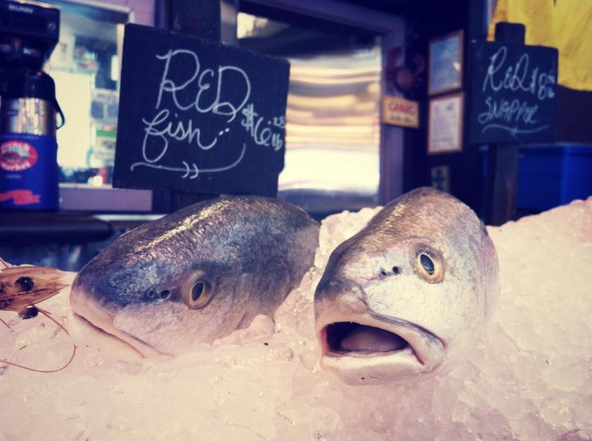 535692_10101627528376913_1316190771_n