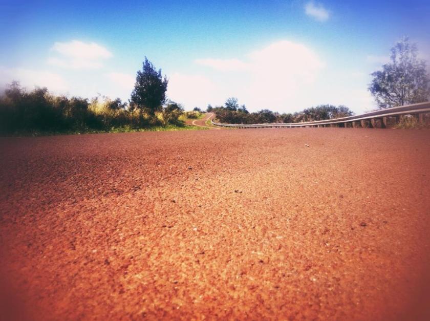 544479_10101619903656913_1940469149_n