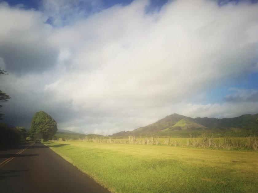 563570_10101619903612003_1096742886_n