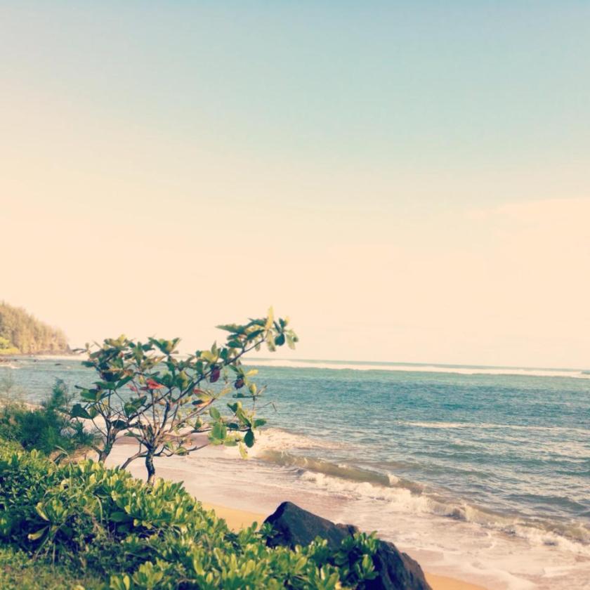 66144_10101619879605113_1002604649_n