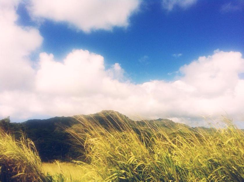 69652_10101619879520283_910380708_n