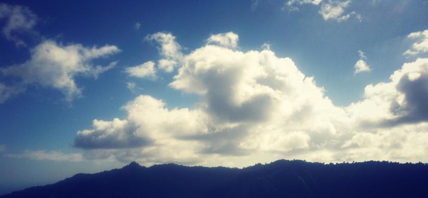 812783_10101619894475313_1205451450_o