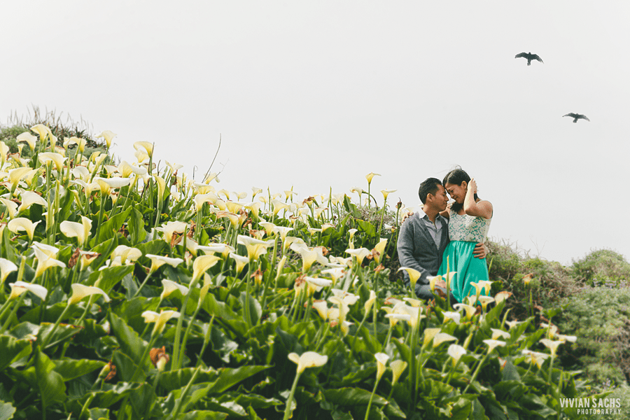 engagement | annie +&nbsp;brian