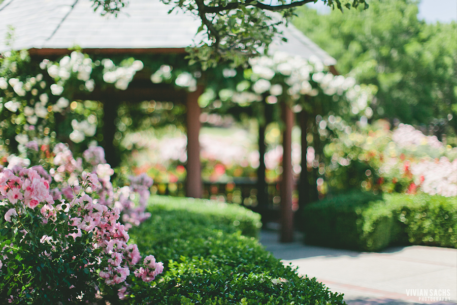 wedding | annie +&nbsp;brian