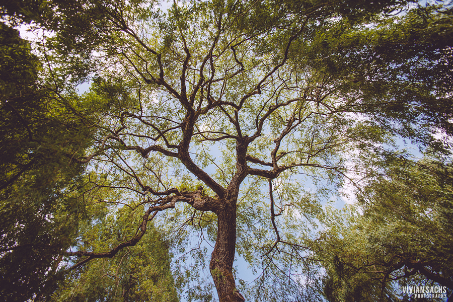 travel | Buchart&nbsp;Gardens