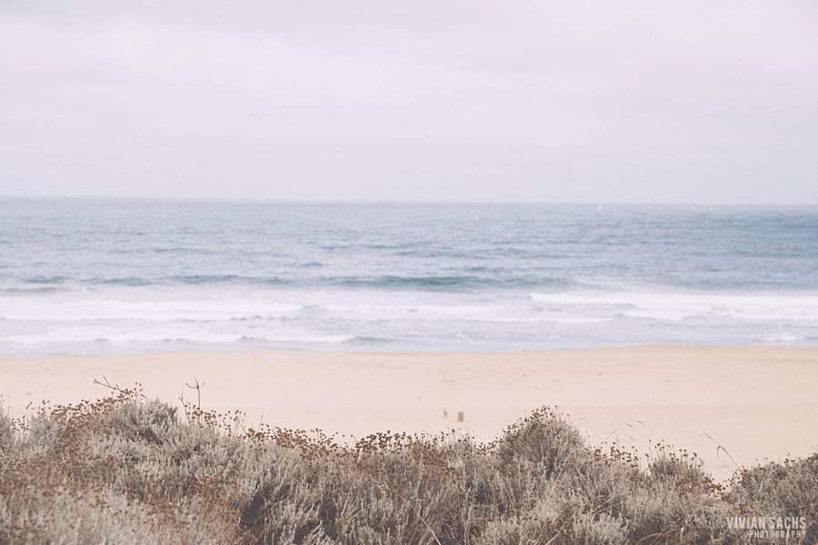 wedding | huong +&nbsp;desmond