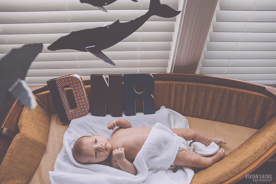 portrait | baby&nbsp;dante