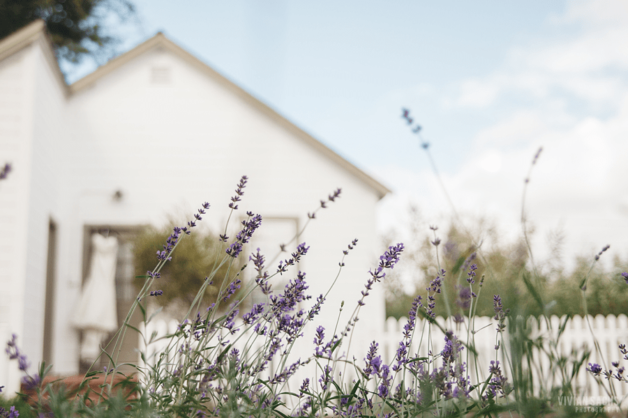 wedding | karina +&nbsp;alex