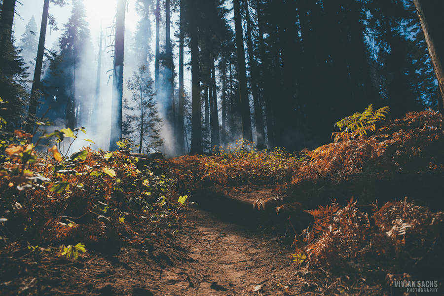 travel | kings&nbsp;canyon