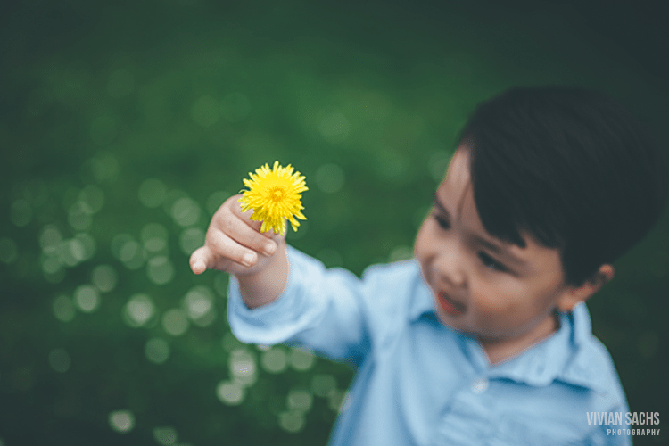 portrait | a mother’s&nbsp;delight