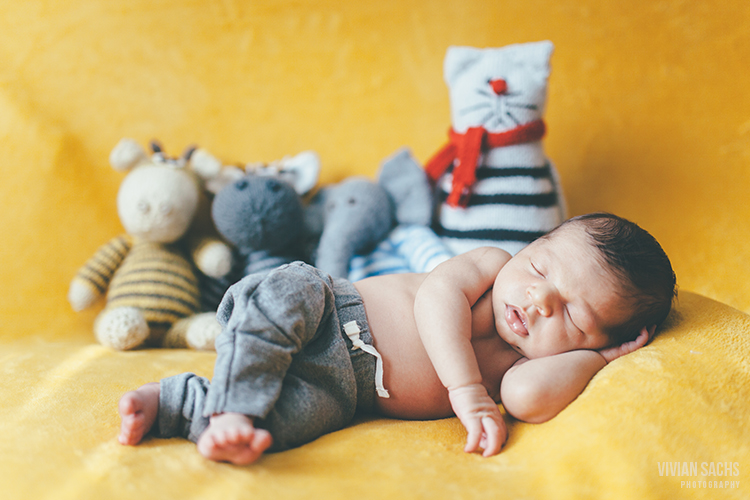 portrait | dovile +&nbsp;company